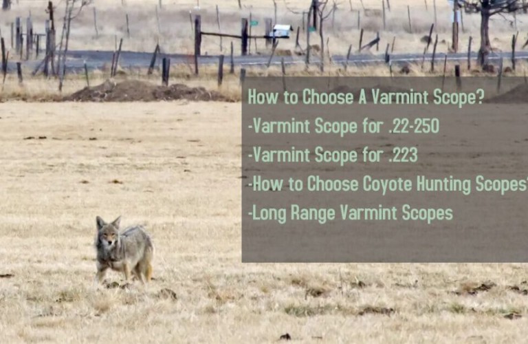 How to Choose A Right Varmint Scope?