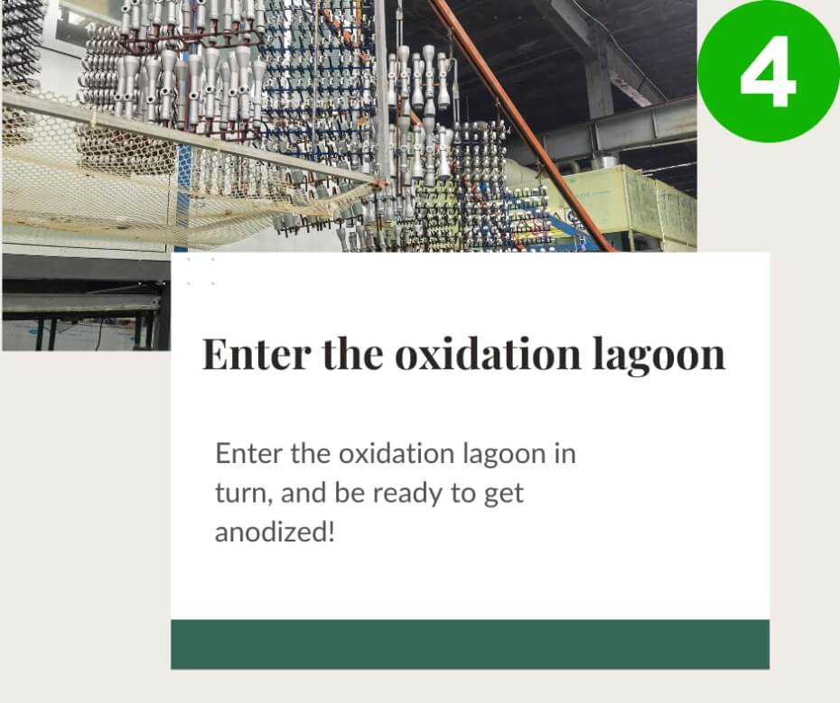 Enter the oxidation lagoon