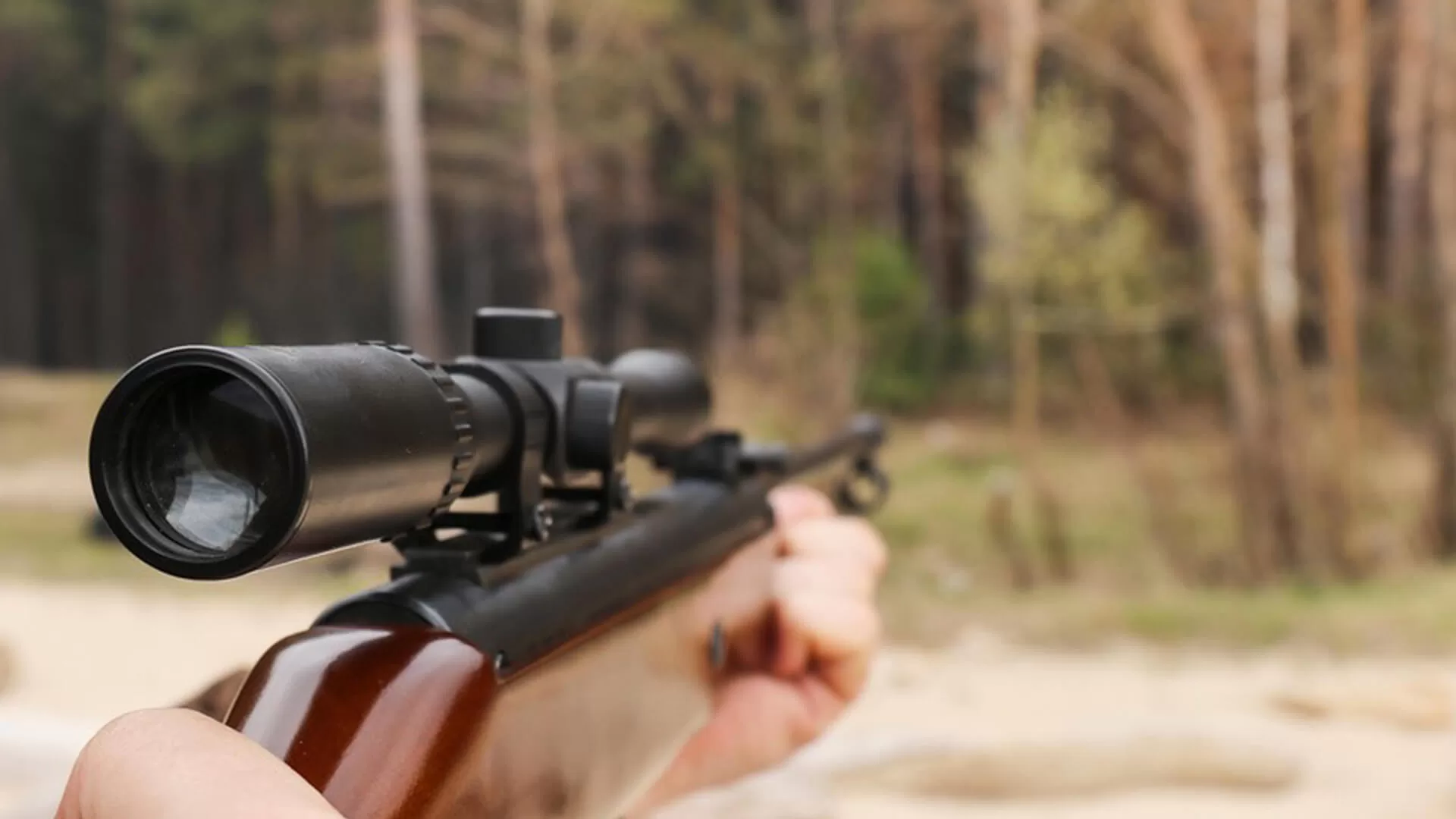 Vector Victo optics? | AirGun Forums the best shooting forum there is.