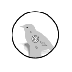 Field-Target--Hunter-Field-Target
