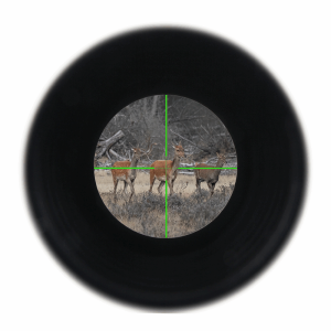 OPSL04 VICTOPTICS 3-9X40 green reticle