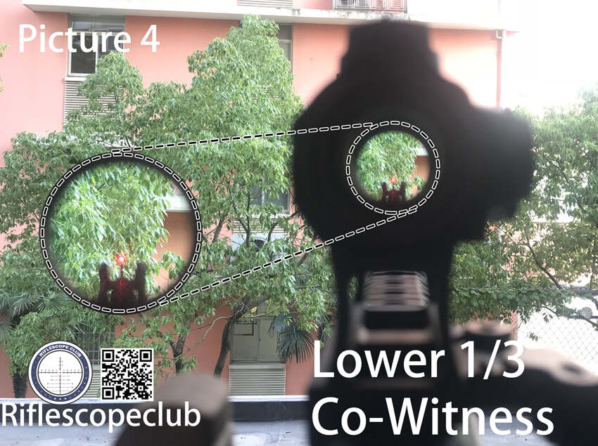 lower 1/3 co-witness height
