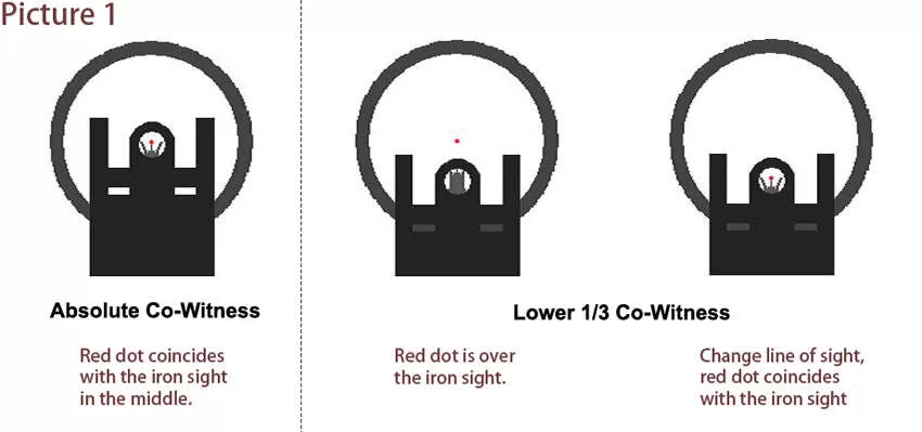 what does lower 1/3 co witness look like