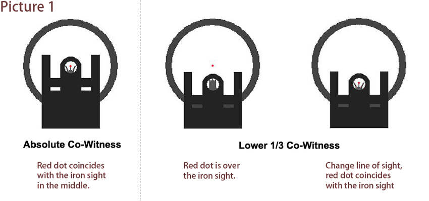 what does lower 1/3 co witness look like