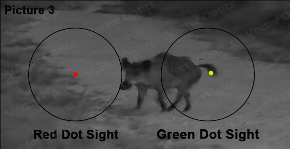 Green Dot with Night Vision